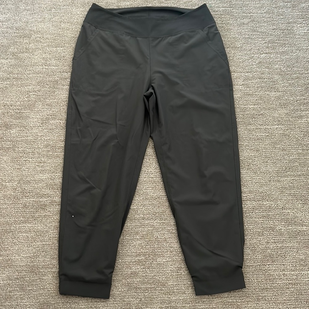 Patagonia sweatpants